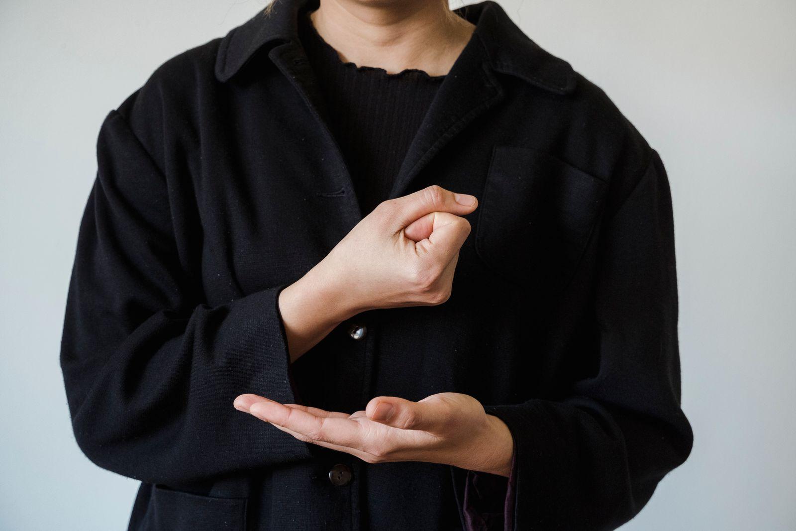 Interpreter demonstrating American Sign Language during a session